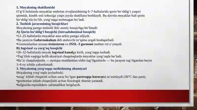 Moyakning yorg‘oqqa tushish jarayoni va jinsiy aʼzolarning rivojlanish nuqsonlari. 4