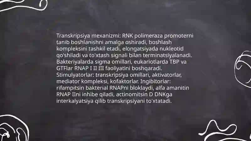 Nuklein kislotalar, oqsil sintezining stimulyator va ingibitorlari 4