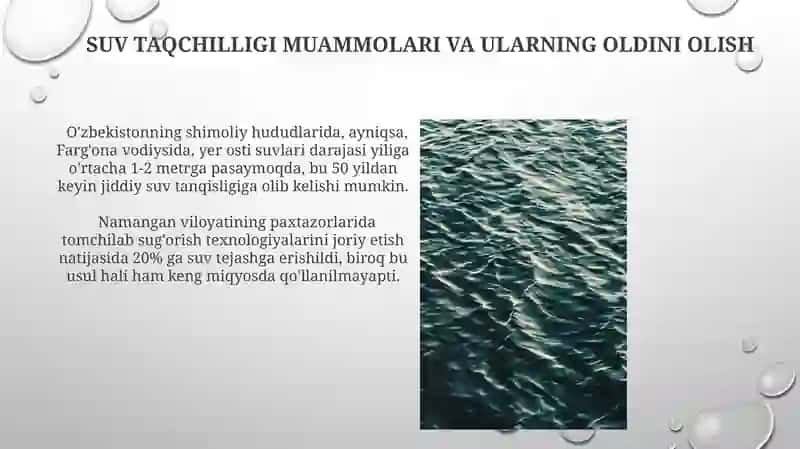 Transchegaraviy suv muammolari 4