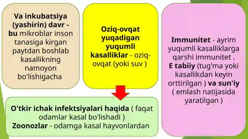 Ichakning yuqumli kasalliklari va ularning oldini olish 4