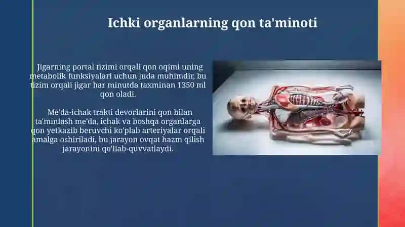 Ko'krak va qorin aortasining shoxchalari 4