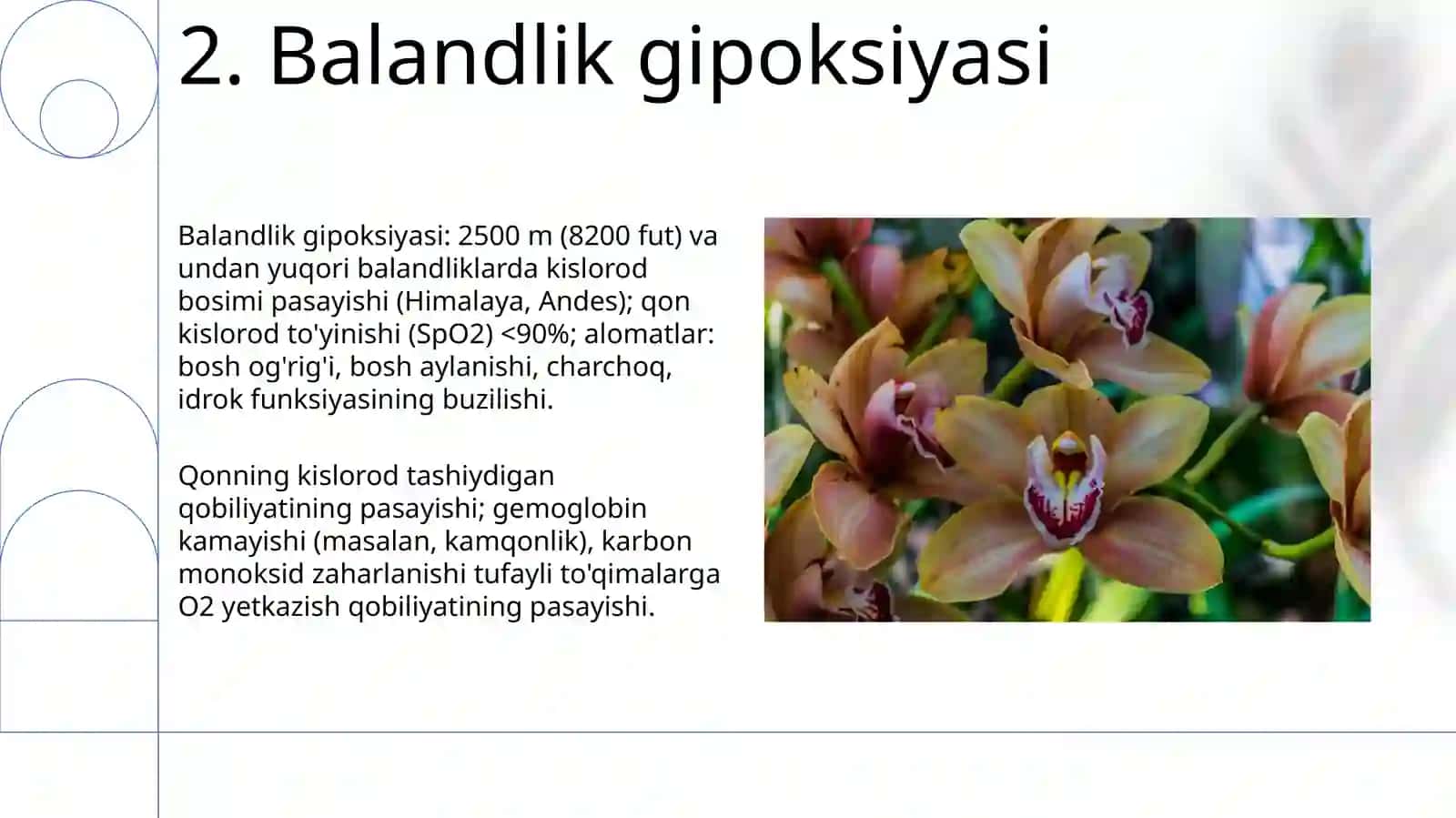 Gipoksiya turlari 4