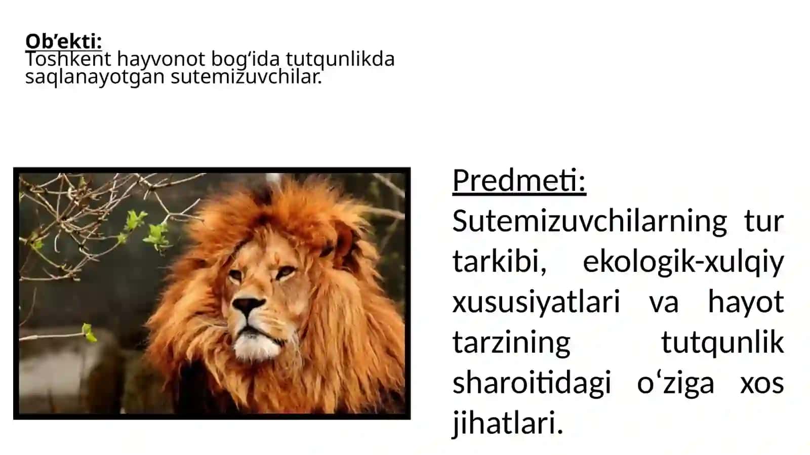 Toshkent hayvonot bog'ida tutqunlikda asralayotgan sutemizuvchilar 4