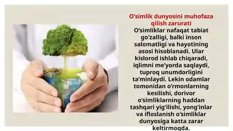 Òzbekistondagi o'simlik va hayvonlarni muhofaza qilish va ularidan oqilona foydalanish Reja 4