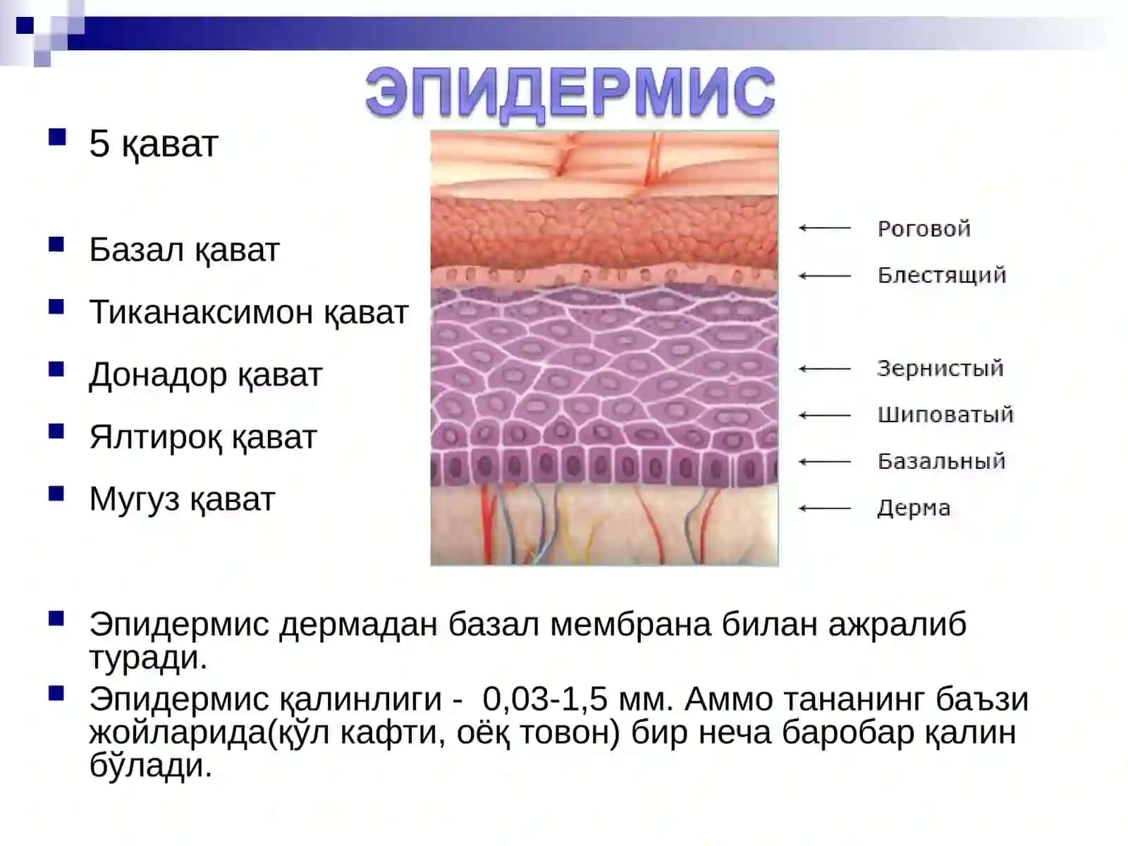 Дерматоз диагностикаси тамойиллари 4