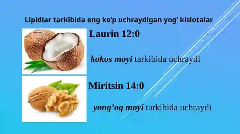 Yog' kislotalari 4