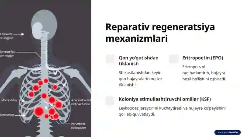 Qon hujayralari regeneratsiyasi: Kirish 4