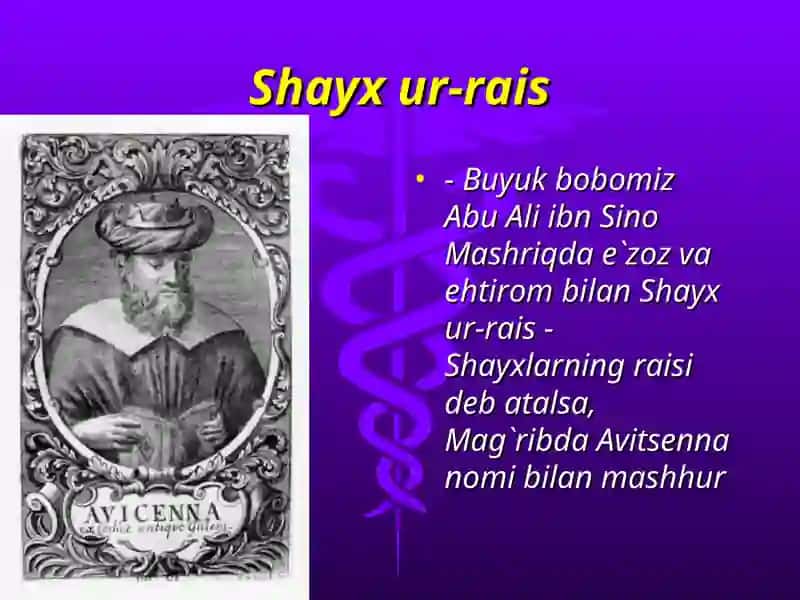 Abu Ali ibn Sino 4