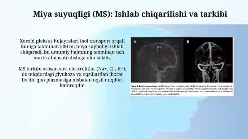 Bosh miya pardalarining vena boshliqlari va sisternalari. Orqa miya suyugligi 4