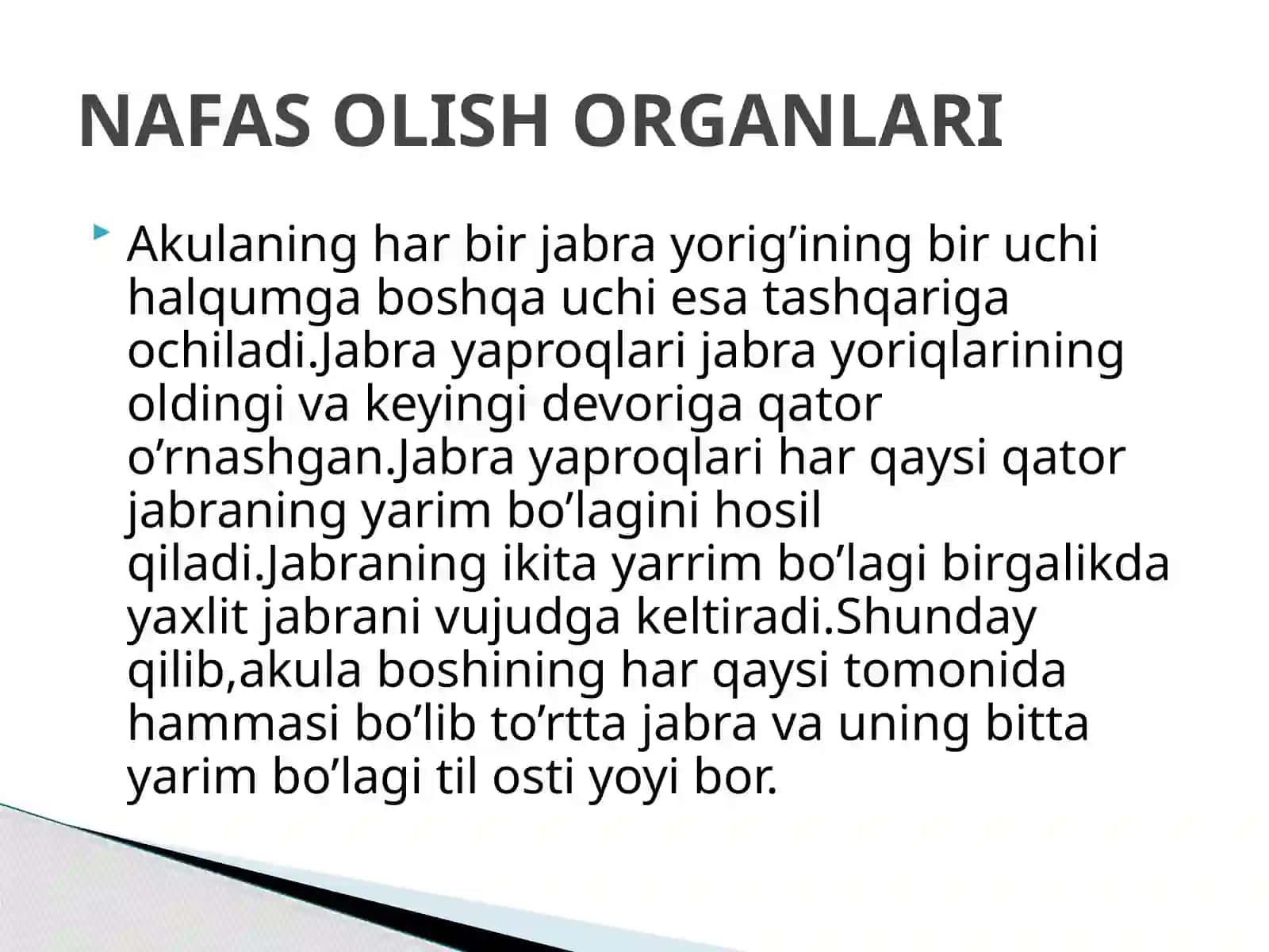 Tikanli Akaulaning Tashqi va Ichki Tuzilishi 4