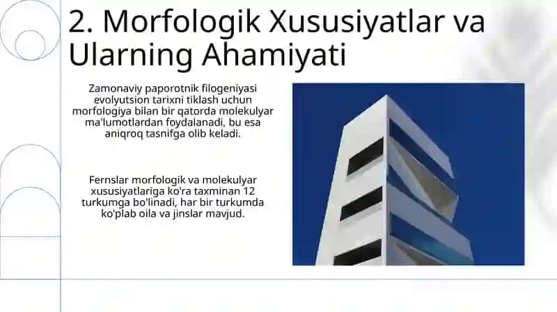 Zamonaviy filogenetik sistema tuban oʻsimliklar va ularning klassifikatsiyasi 4