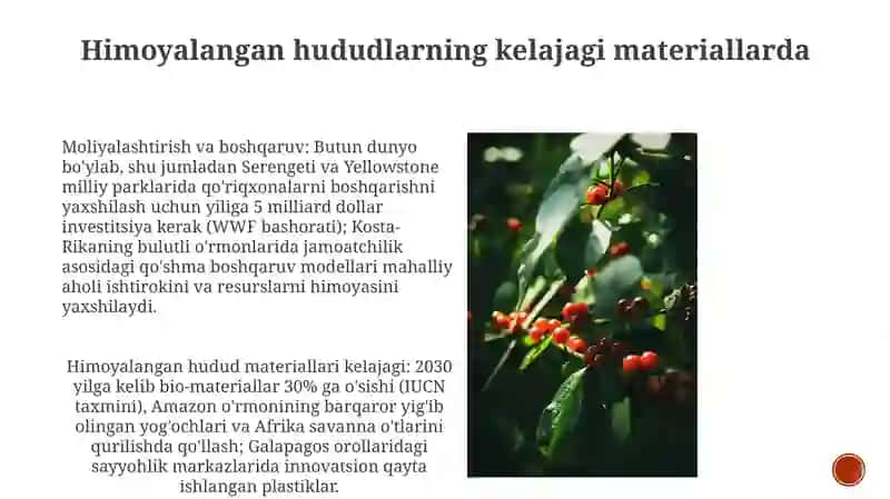 Tahlil holatlari va eng yaxshi amaliyotlar 4