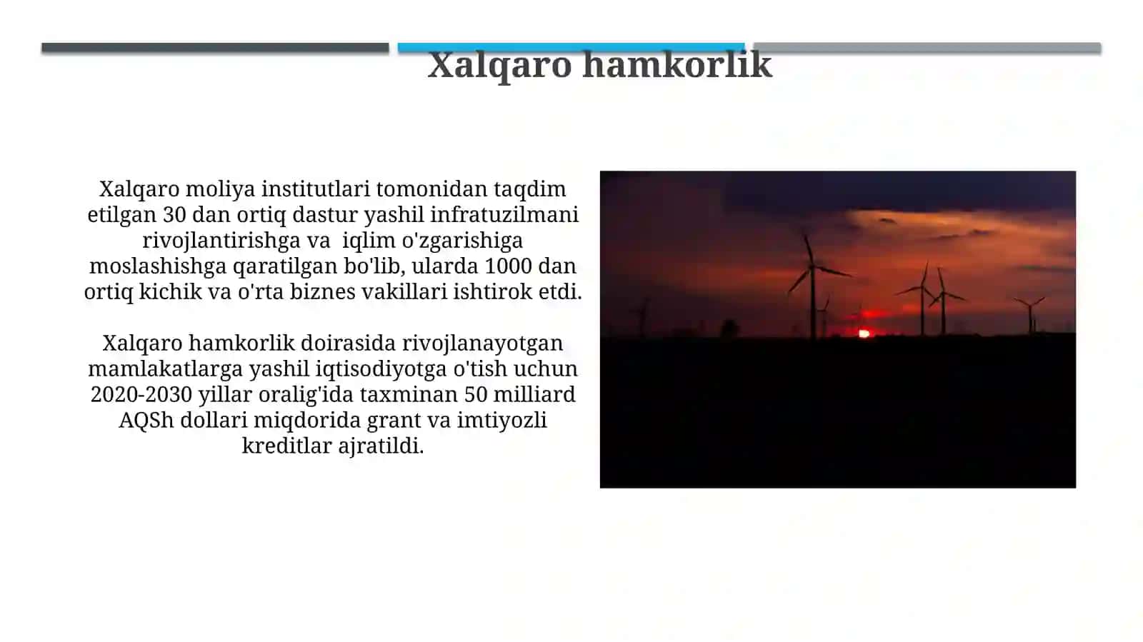 Yashil iqtisodiyotga oʻtish tajribasi 4