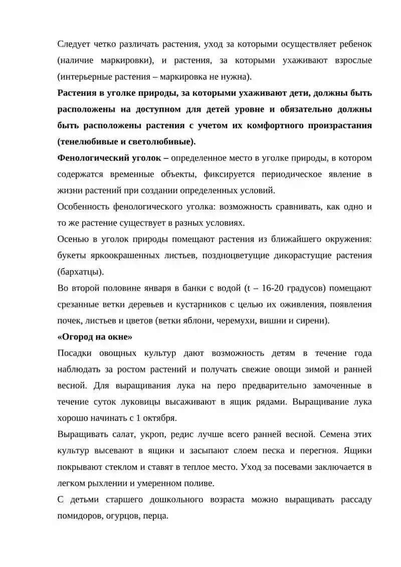 Уголок природы в разных возрастных группах детского сада 4