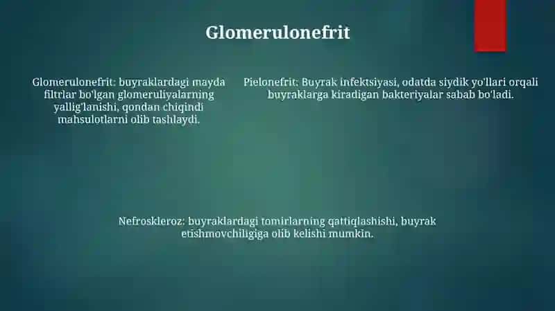 Nefropatiya. Gulmonefrit O'Tkir Va Surnkali Buyrak Yetshmovchligi Pielonefrit Nefroskleroz Potomorfologiyasi 4