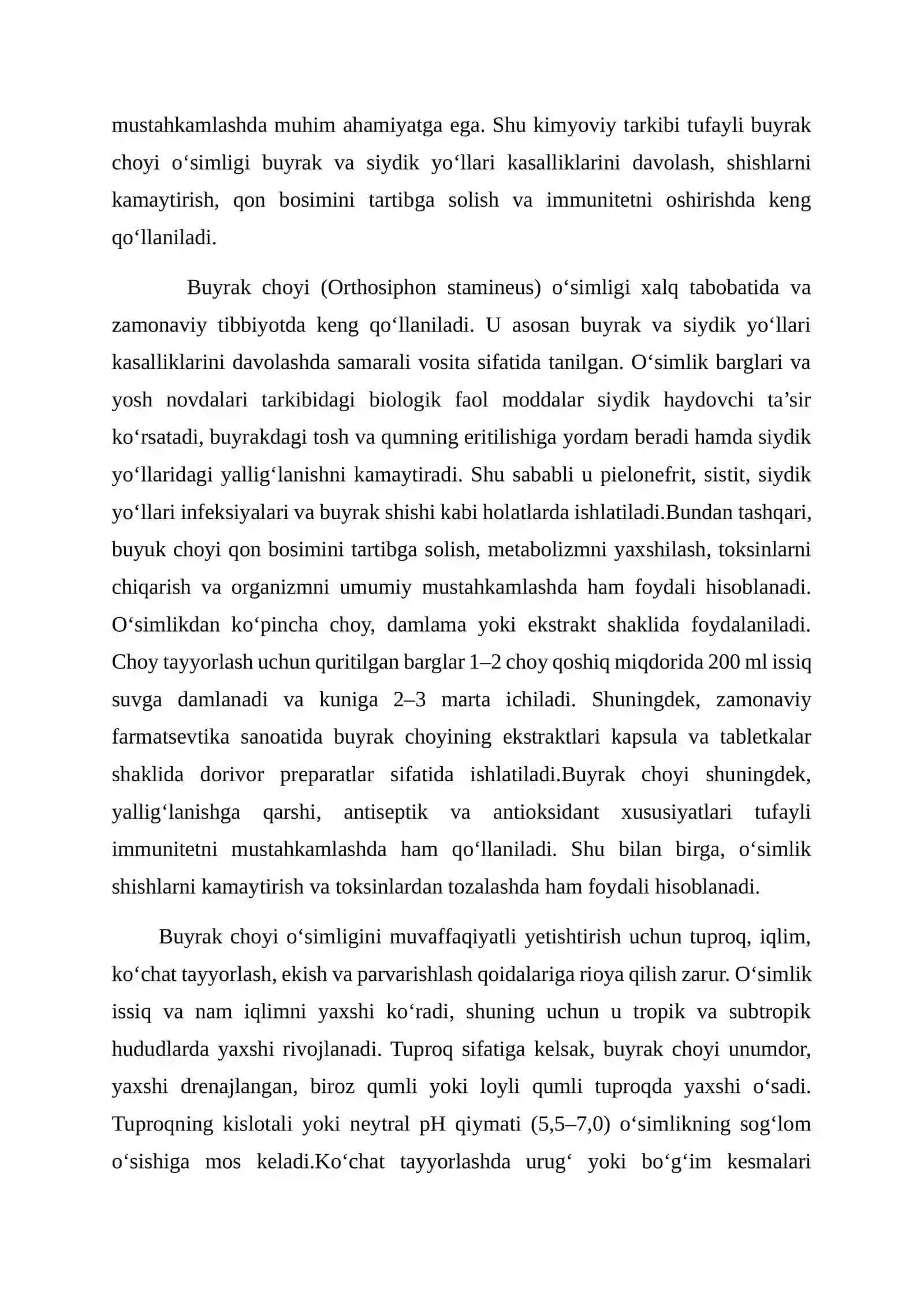 Buyrak choy o'simligini yetishtirish texnologiyasi 4