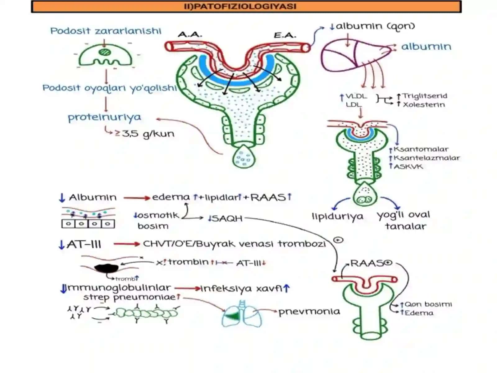 Siydik ayirish patologiyasi 4