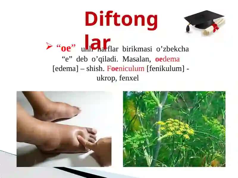 Lotin tilivati tibbiy terminologiya o'qituvchisi 4