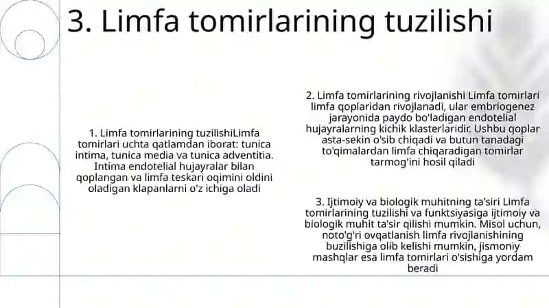 Limfa Tomirlarining Taraqqiyotiga Va Tuzilishiga Va Ijtimoiy Va Biologik Muhitlarning Ta'Siri 4