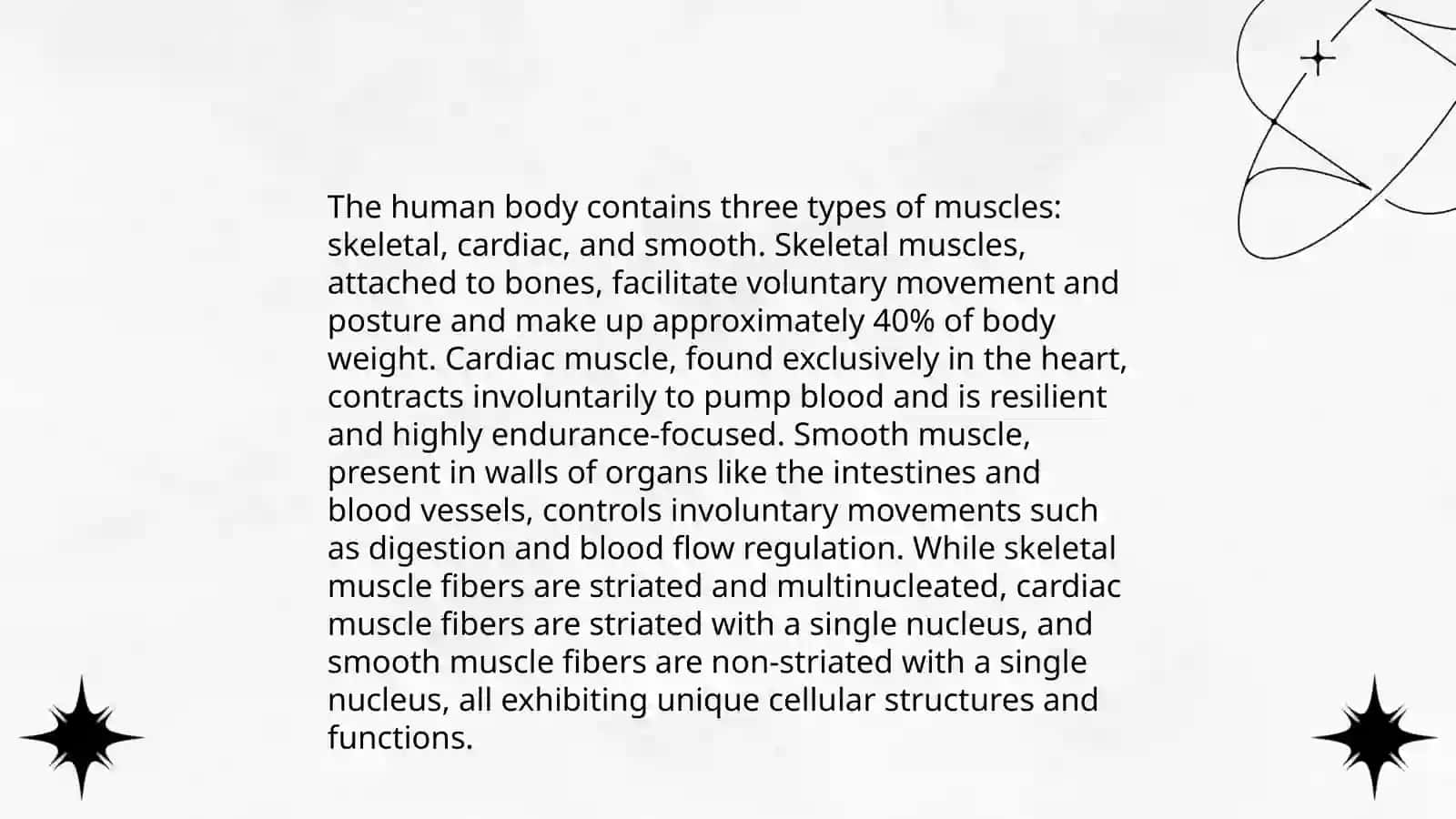 Anatomy of Muscle Tissue Lecture 4