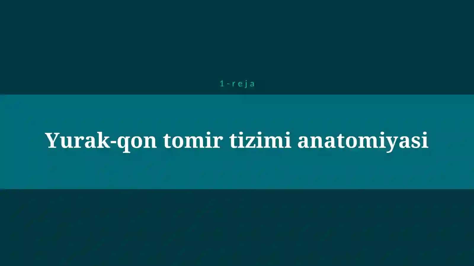 YURAK QON TOMIR SISTEMASI KASALLIKLARI 4