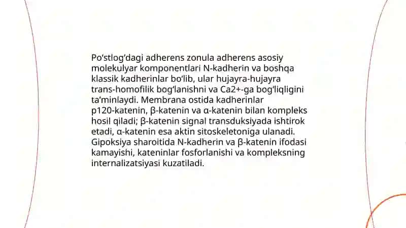 Bosh miya yarim sharlari poʻstlogʻidagi hujayralararo bogʻlanishlar 4