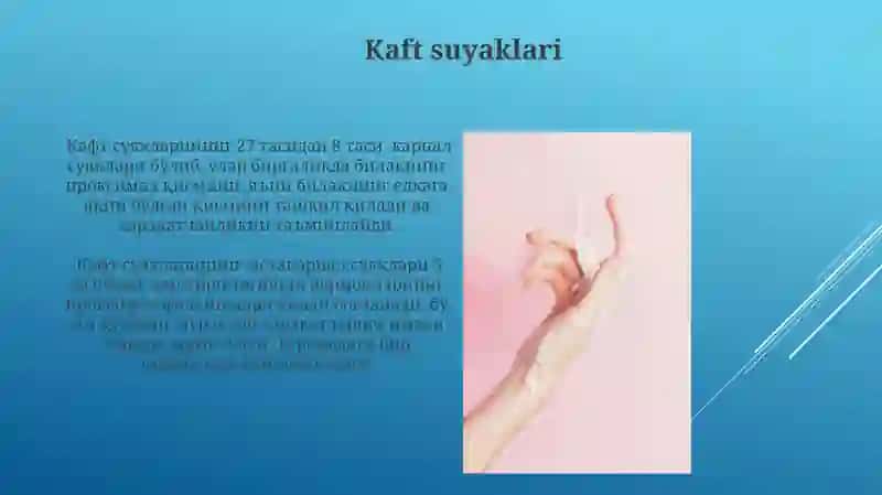 Barmoq suyaklari 4