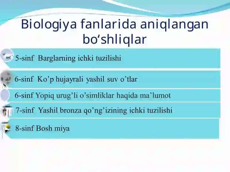 Biologiya darslarida bo‘sh o‘zlashtiruvchi o‘quvchilarning qobiliyatini rivojlantirish va bo’shliq mavzularni to’ldirishga qaratilgan usullar. 4