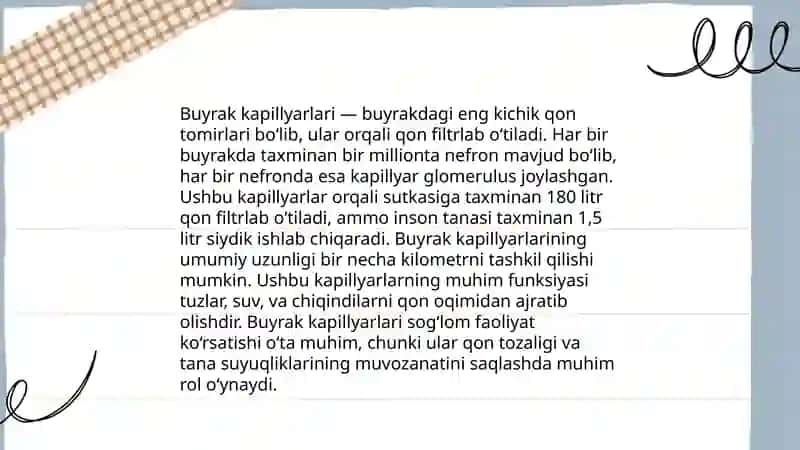 Buyrakning anatomiyasi va fiziologiyasi va taraqqiyoti haqida 4