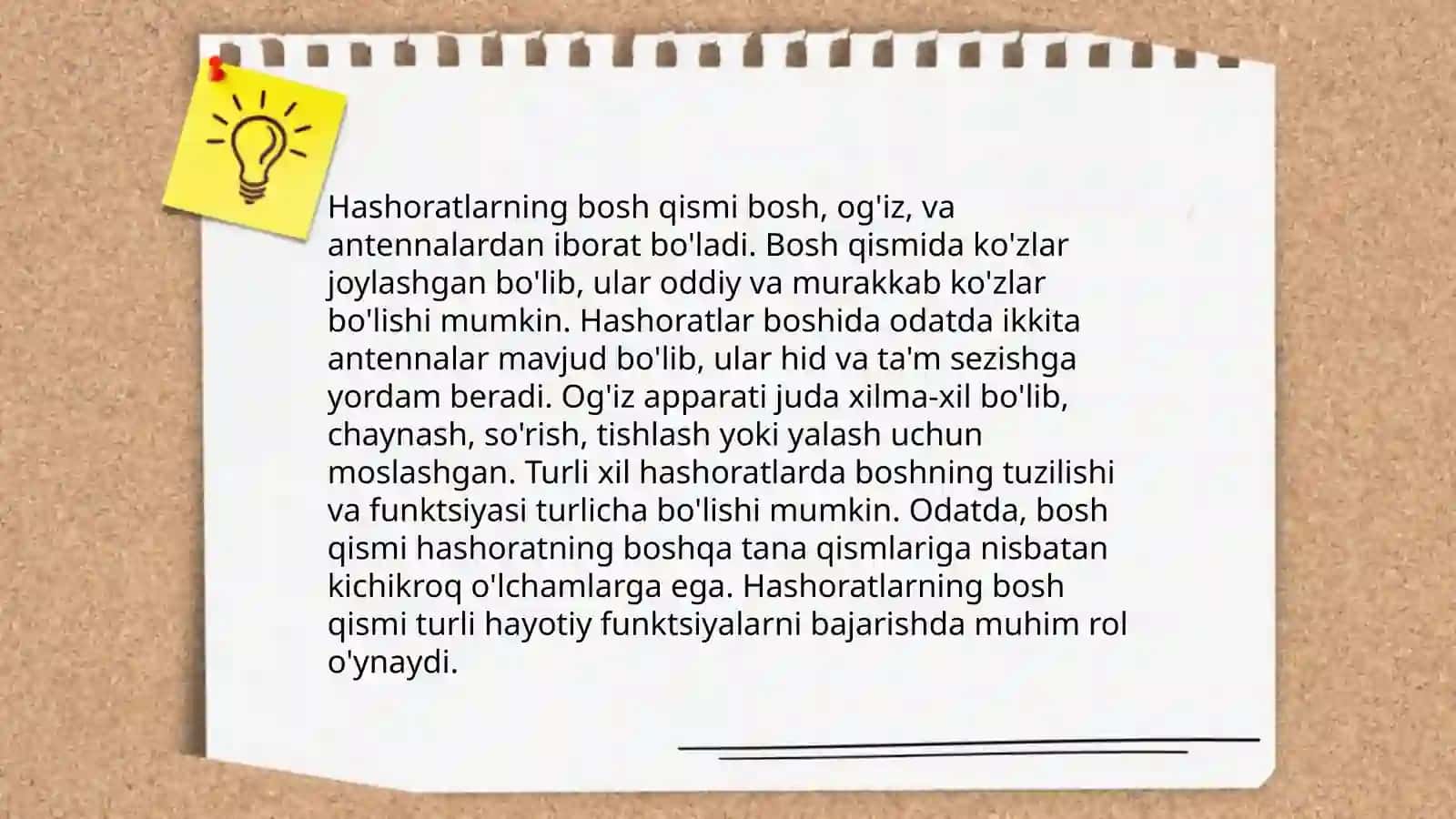 Hashoratlarning morfologiyasi va anatomiyasi 4