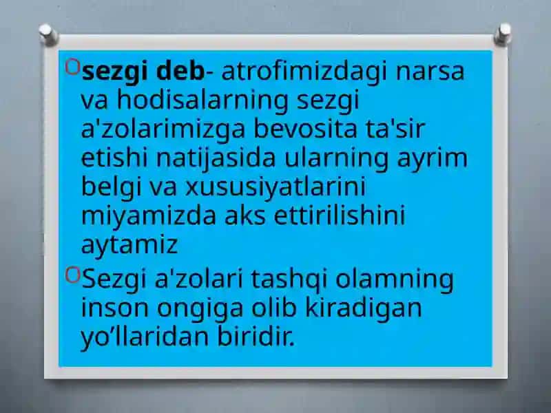 Sezgilarning nerv - fiziologik asoslari 4