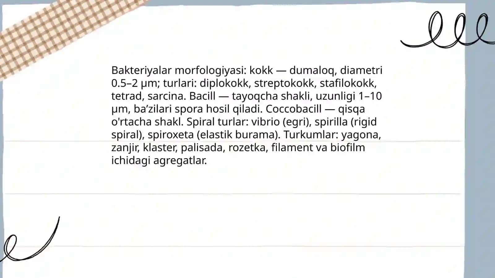Mikroorganizmlar morfologiyasi 4