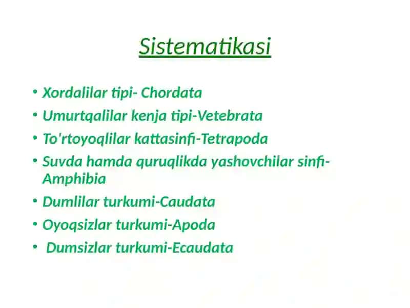 Zoologiya fanidan kurs ishi 4