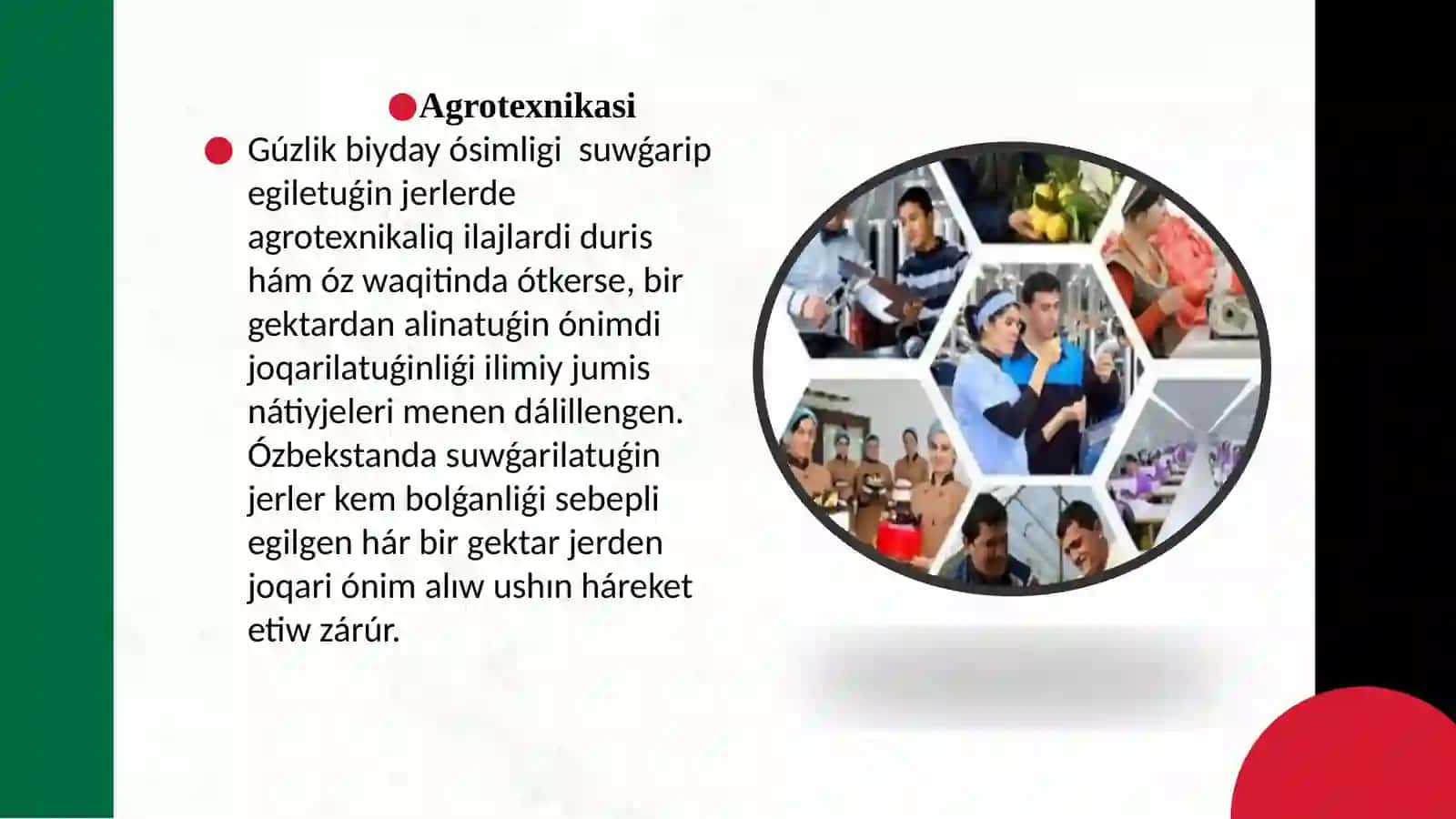 Aralıq hám takirariy eginler jetistiriw texnologiyaliq kartasin duziw 4