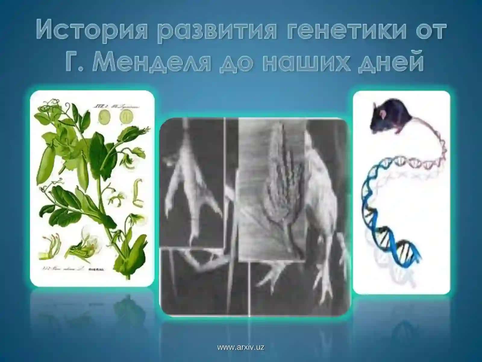 Генетика термини 1906 йилда У.Бэтсон томонидан таклиф қилинган 4