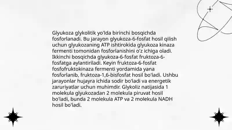 Glikoliz va uning boshqarilishi 4