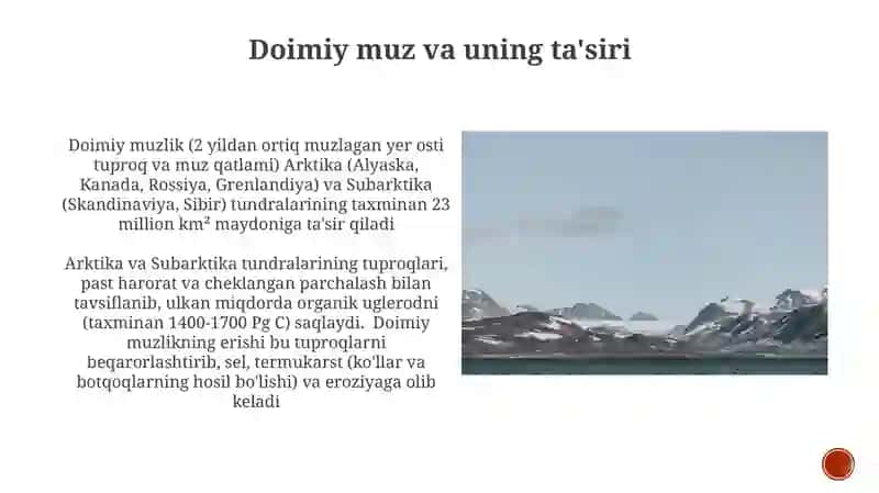 Arktika va subarktika tundra tuproqlari 4