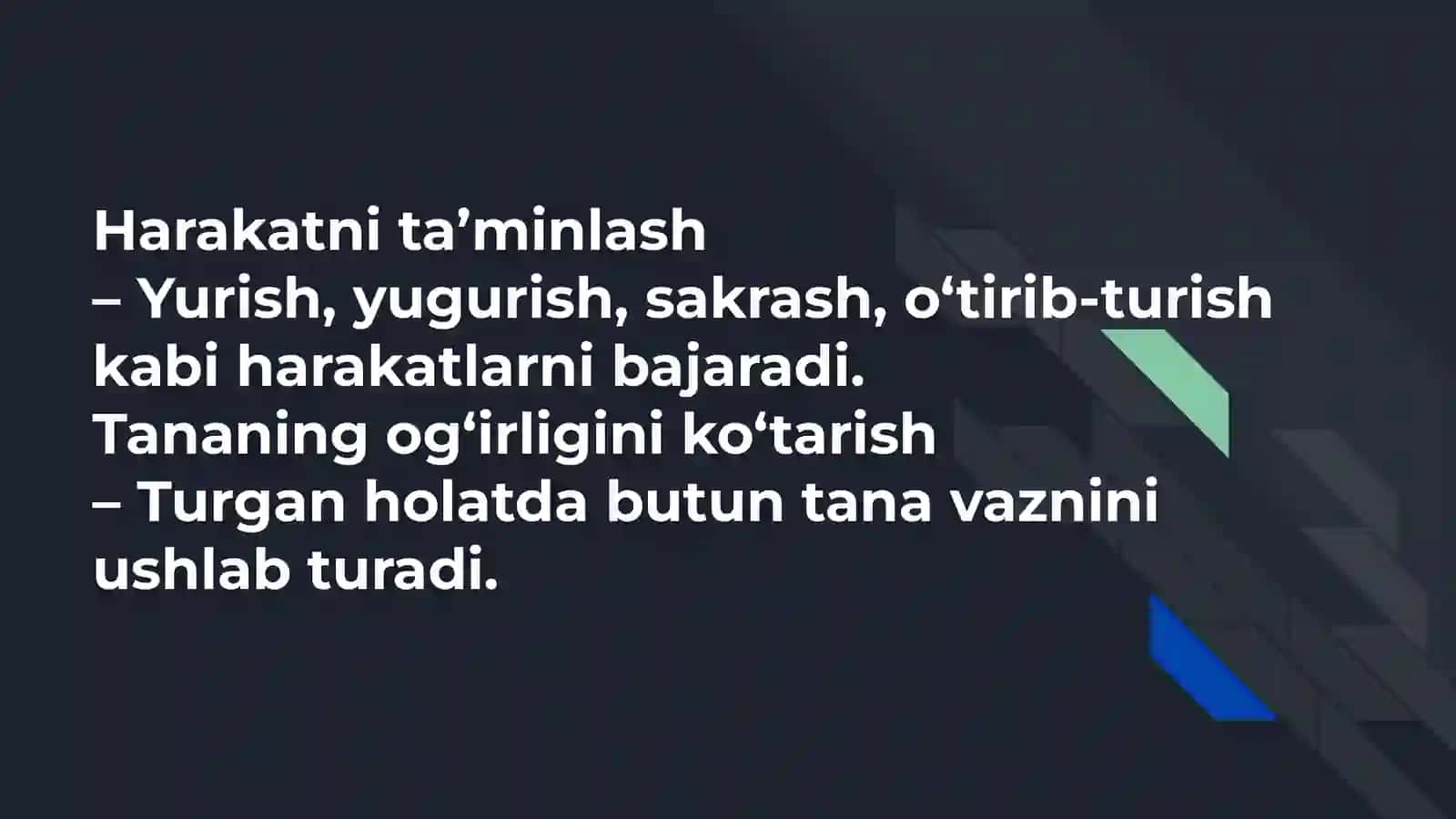 Oyoq muwaklarını vazıfası 4