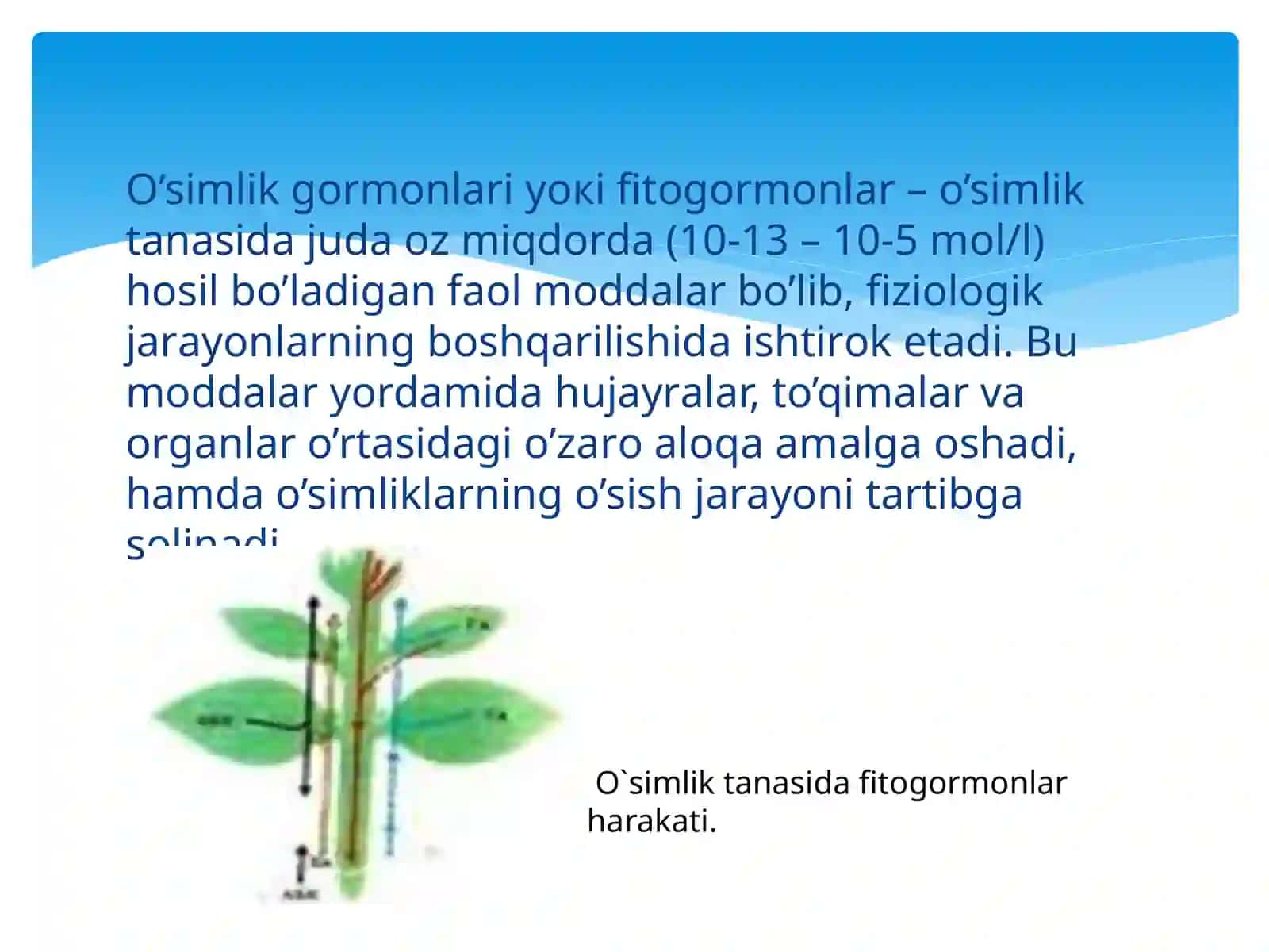 SINTETIK O`SISH REGULYATORINI O`SIMLIKSHUNOSLIKDA QO`LLASH 4