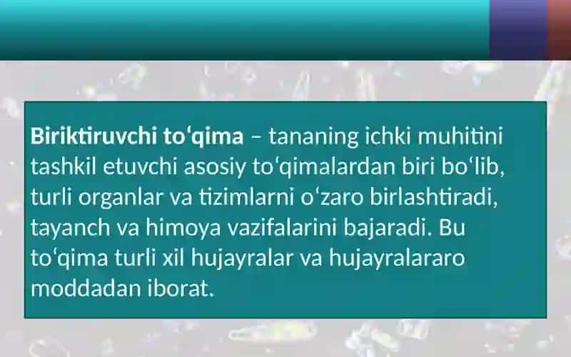 Abu Ali Ibn Sino nomidagi jamoatsalomatligi texnikumining guruhi talabasi 4