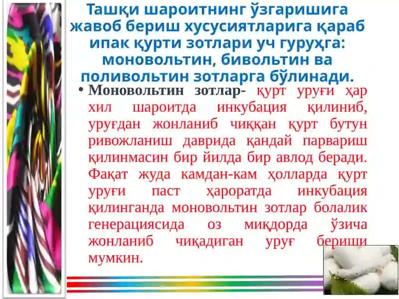 Ипак қуртиселекцияси ва уруғчилиги 4