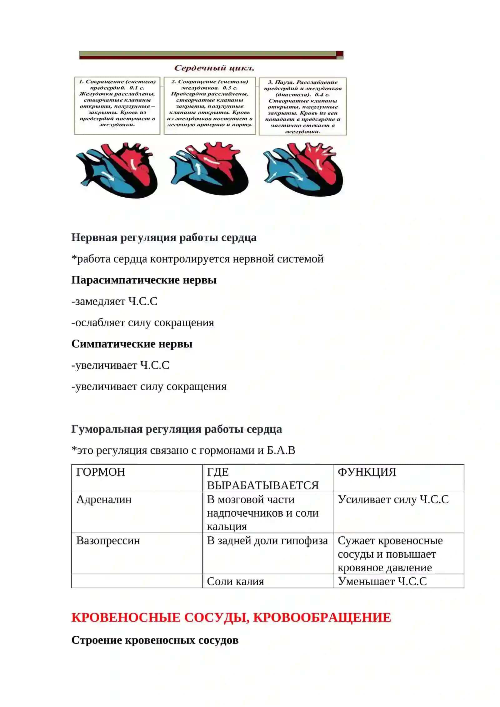 УРОК.5 КРОВЕНОСНАЯ СИСТЕМА 4