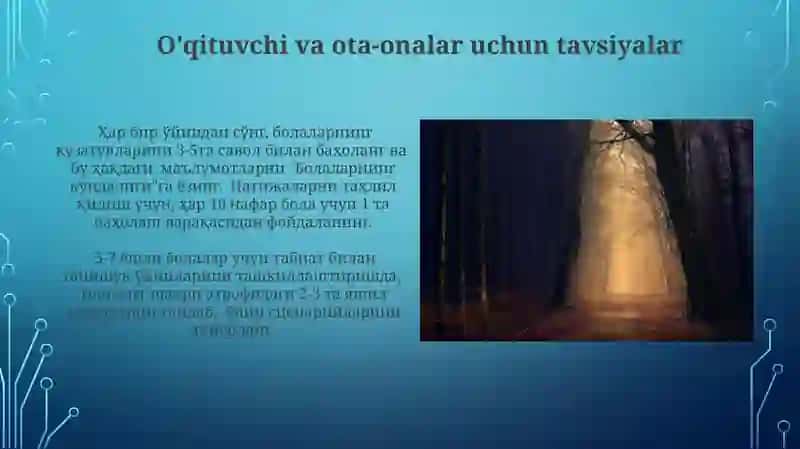 Tabiat bilan tanishtirish metodikasi asosida bolalar o'yinlarini tashkil etish texnologiyasi 4