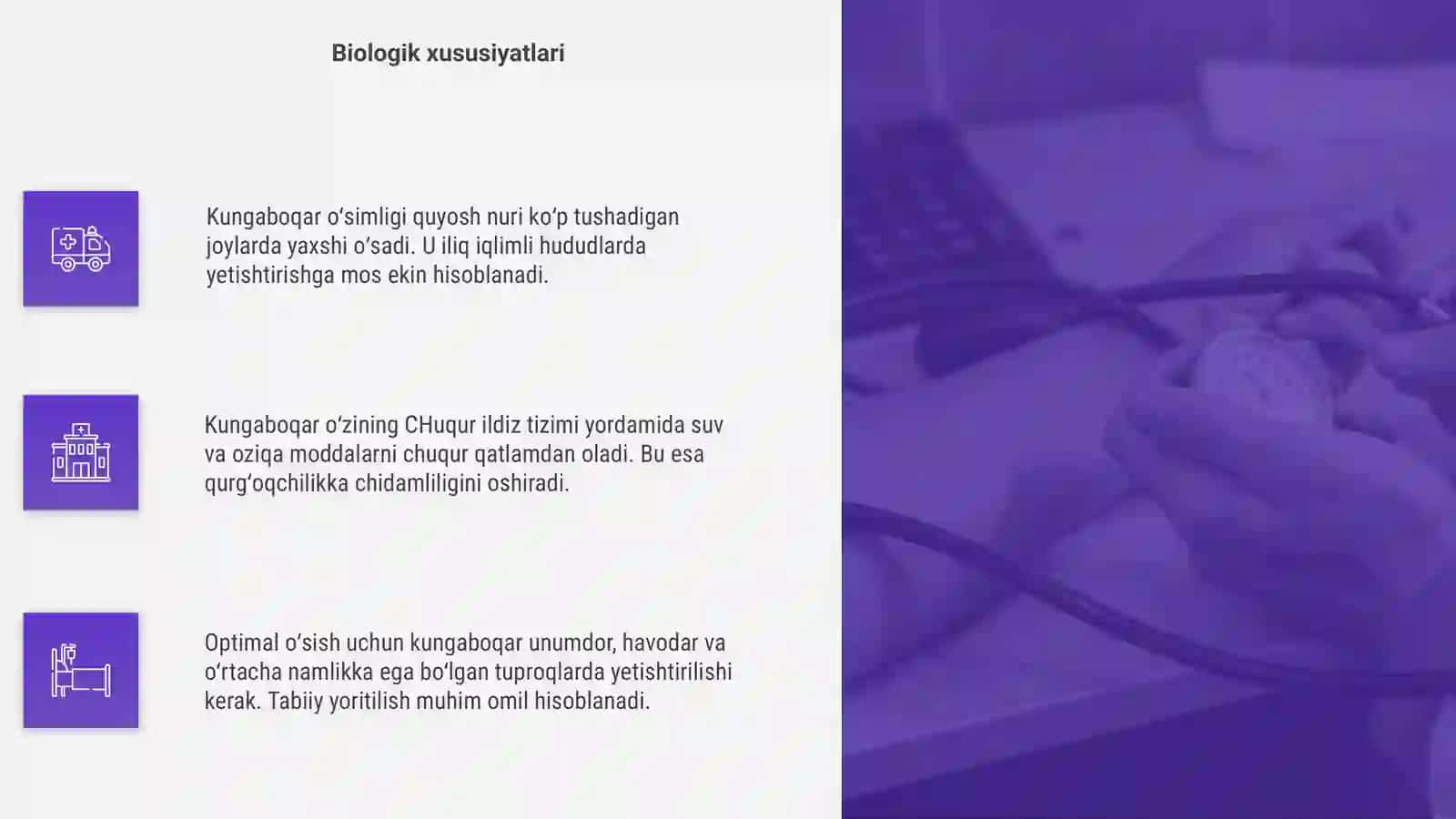 Kungaboqar biyalogiyasi va yetishtirish texnologiyasi 4