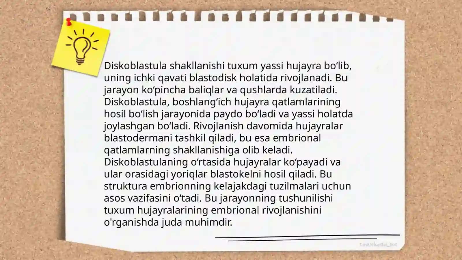 Tseloblastula tuzilishi 4