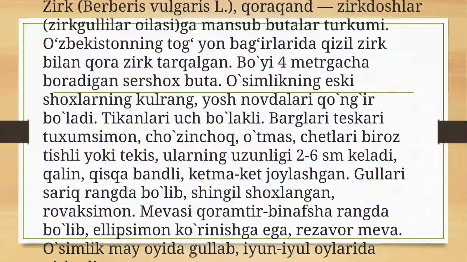 Barbaris (Zirk) oʻsimligi, agrotexnologiyasi va dorivor xususiyatlar 4