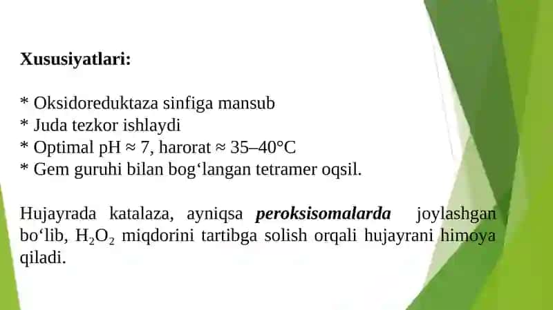 Katalaza fermenti 4