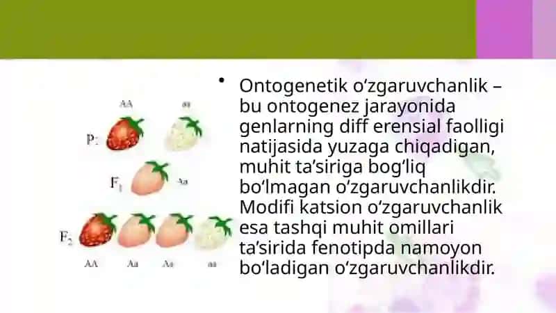 O‘zgaruvchanlikning umumiy qonuniyatlari 4