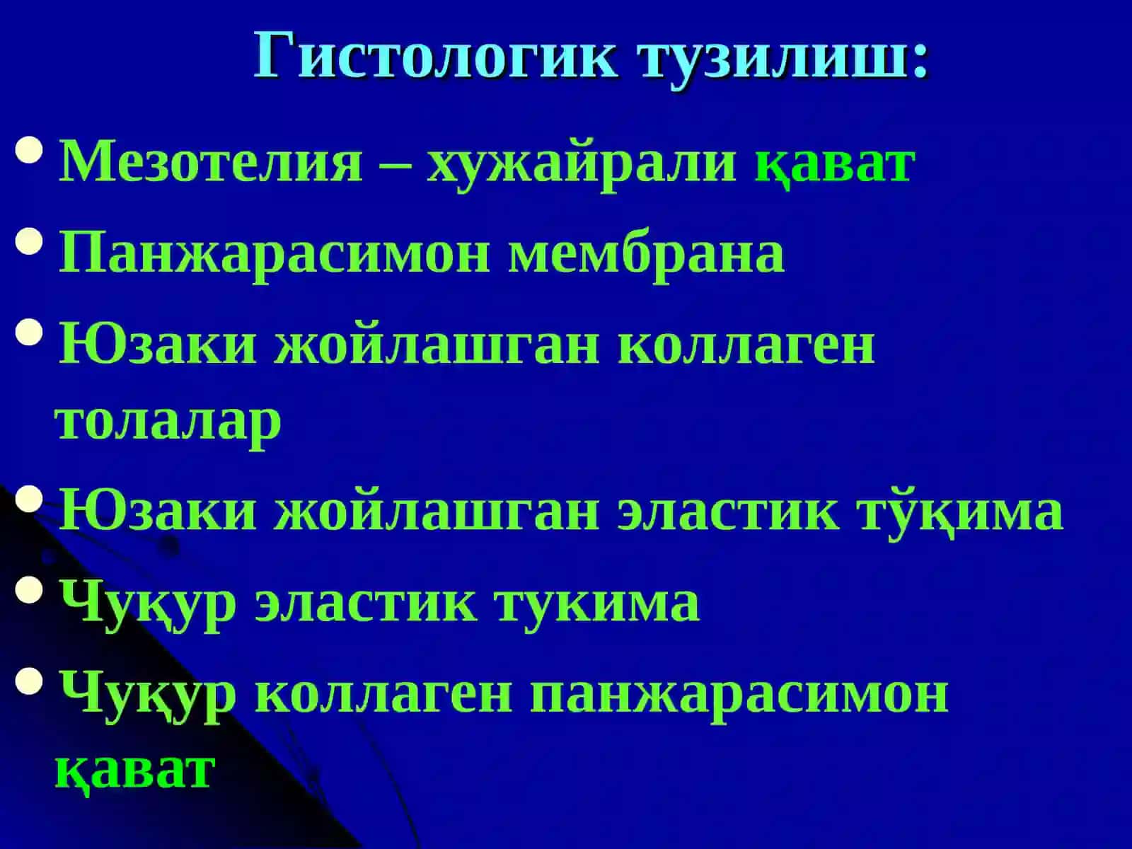 Плевра туберкулези.Туберкулез менингити 4