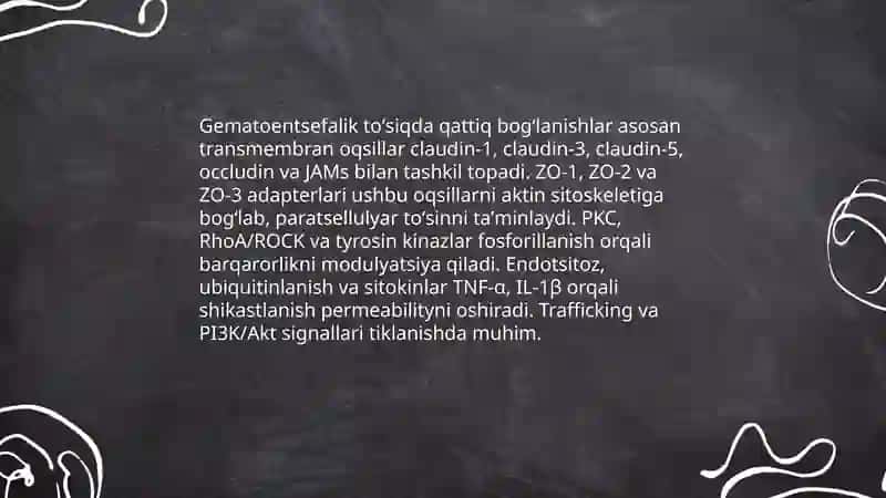 Gematoentsefalik tòsiq gistafiziologiyasi 4